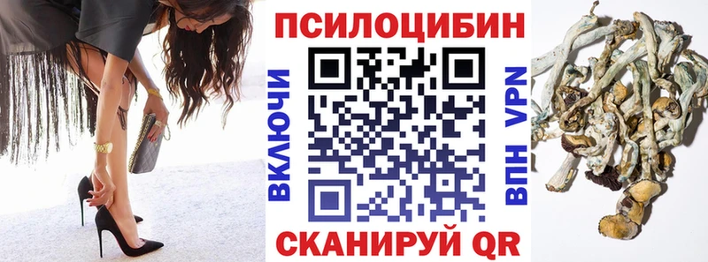 Купить  Цоци-Юрт  Псилоцибиновые грибы Magic Shrooms 